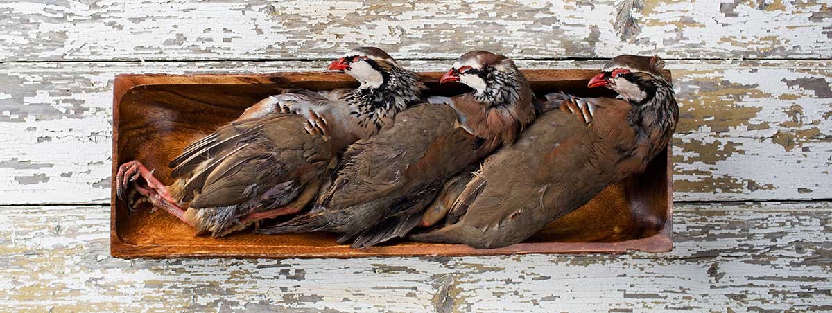 Red Legged Scottish Partridge Seasonal Ingredients
