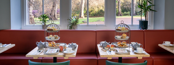 AFTERNOON TEA FOR ONE AT THE TERRACE