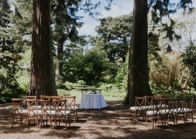John Muir Grove Redwood Tree Ceremony Setup