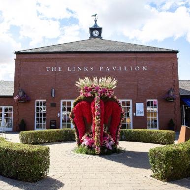 Ladies Day at Musselburgh Racecourse