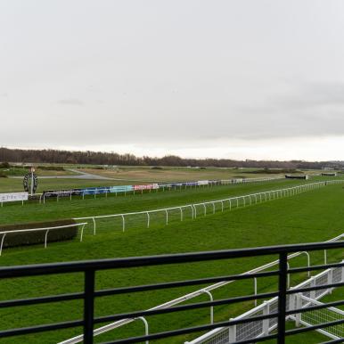 Racecourse View