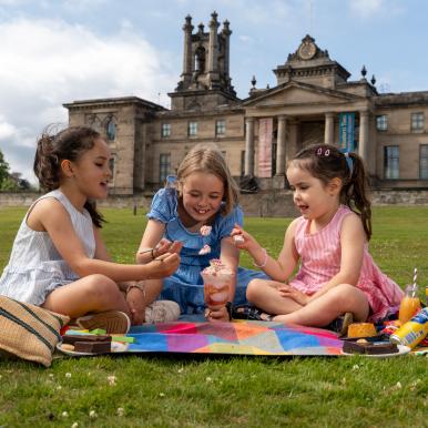 Picnic
