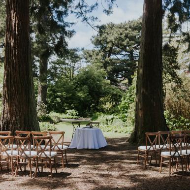 John Muir Grove Ceremony Set-Up with Chairs and Officiant Table