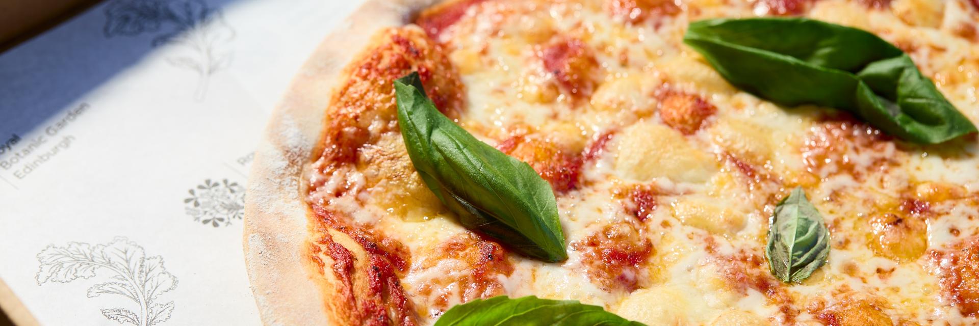 Margherita Pizza