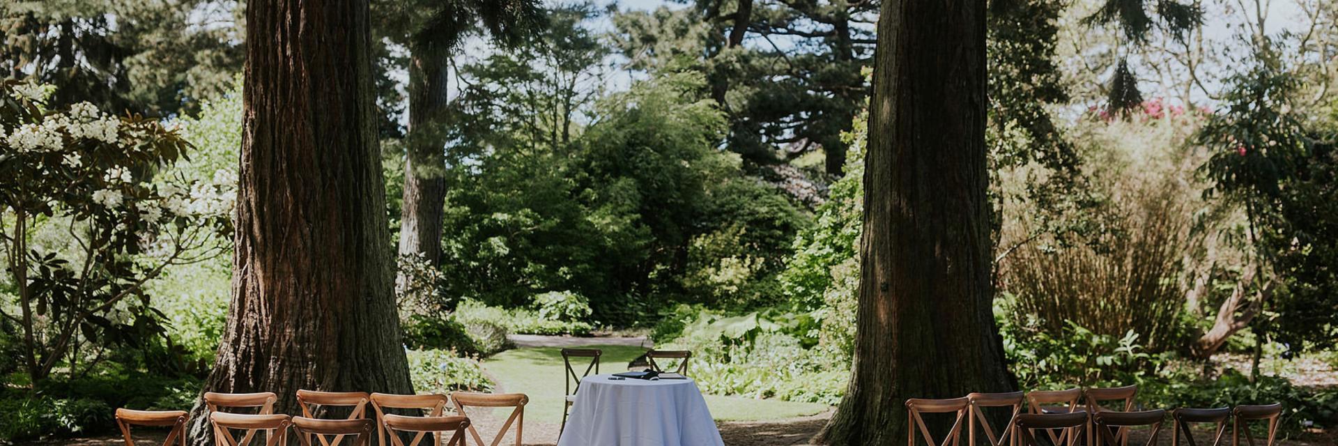 John Muir Grove Redwood Tree Ceremony Setup